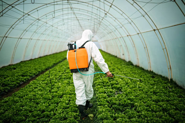 Best Affordable Pest Control Services  in , UT